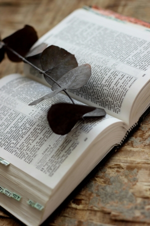 National Dictionary Day Activity 